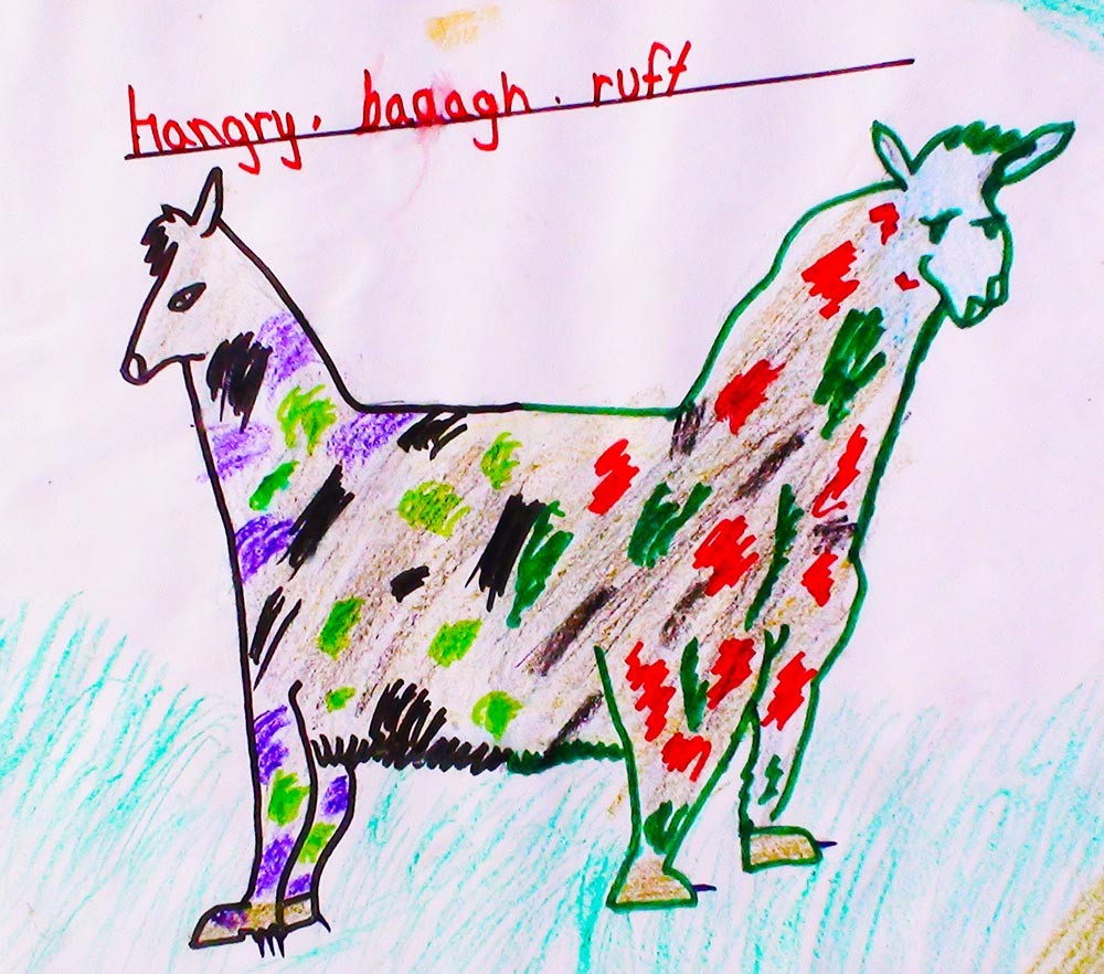 <p>Half goat half dog.
Goat: Nice eyes big nose and colour is red black and green. Strong leg small ear and big nails big neck small hair.
Dog: Nice ear and nice eyes small nose colour is black green and purple. Big nails small hair and tall neck small leg.</p>